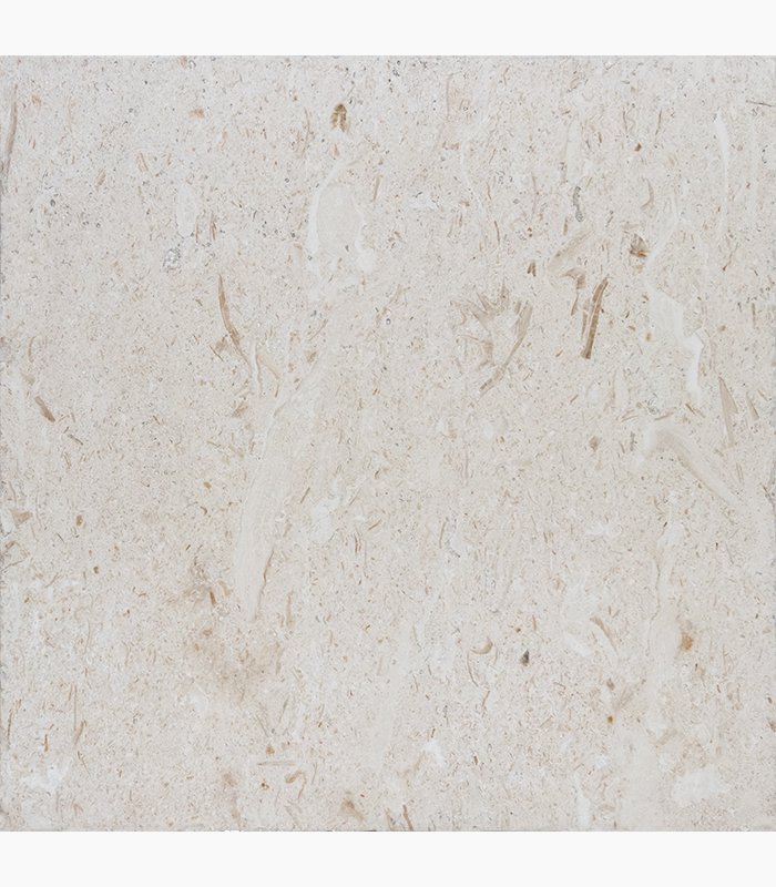 Shellstone Limestone 16×16 SHELL STONE Tumbled Limestone PAVER – Natural Elegance Collection